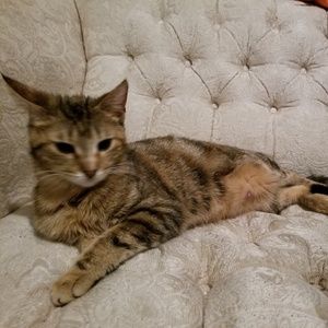 Meet your Posher, Heidi